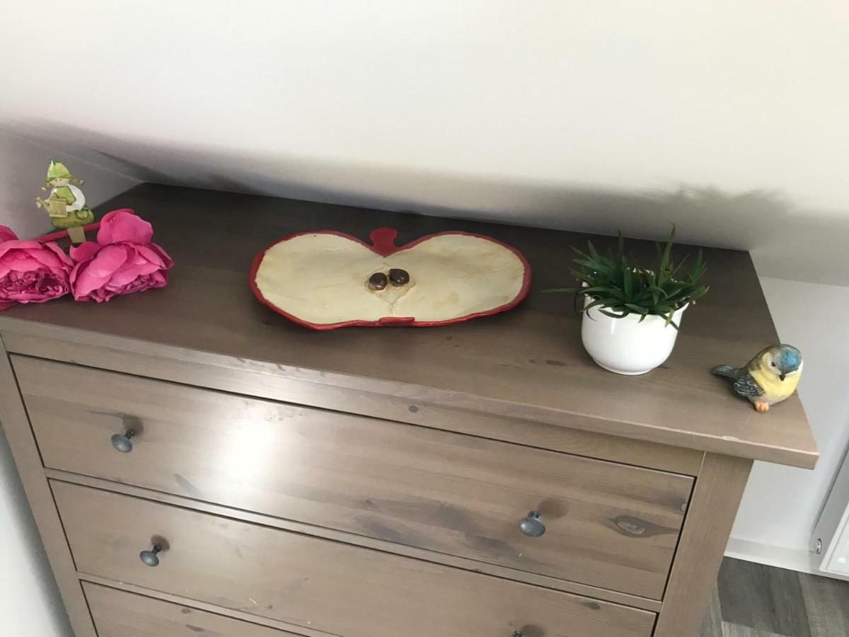 Ferienwohnung Apfeltraum 탈레 외부 사진