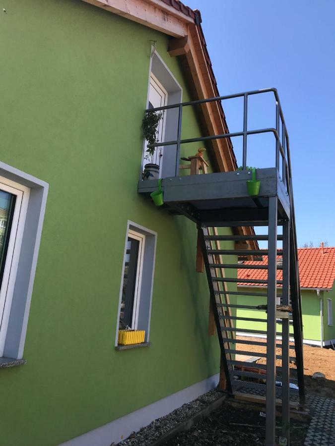 Ferienwohnung Apfeltraum 탈레 외부 사진