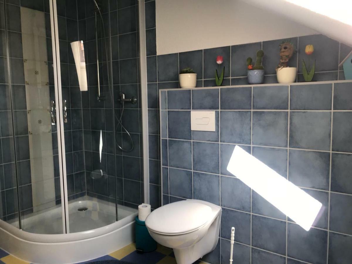 Ferienwohnung Apfeltraum 탈레 외부 사진